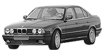 BMW E34 P221E Fault Code